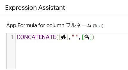 Expression AssistantにCONCATENATE関数で式を設定する。